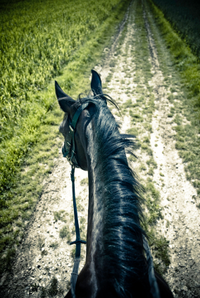 Travels on Horseback