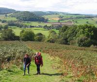 Wheely Wonderful Cycling