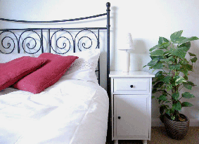 Gwithian Academy of Surfing