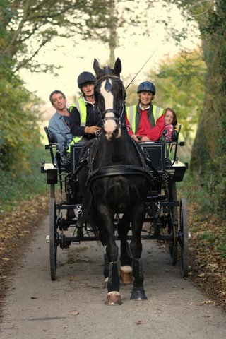 White Horse Trekking Centre