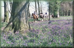 White Horse Trekking Centre