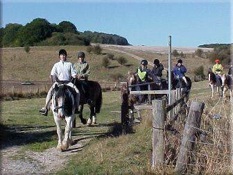 White Horse Trekking Centre