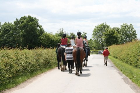 Barleyfields Equestrian Centre