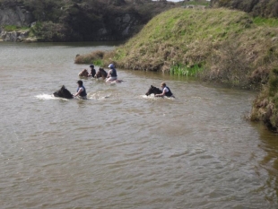 Cornish Riding Holidays