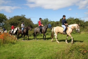 Cornish Riding Holidays