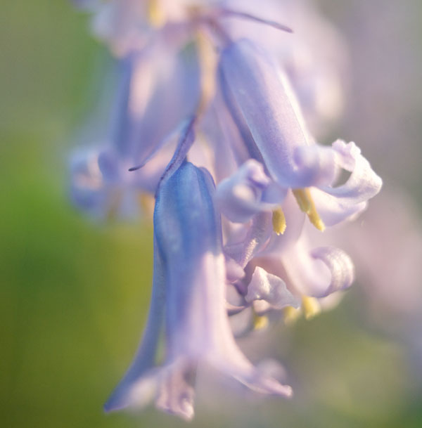 Gavin Parsons Photography Courses and Workshops