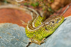 Gavin Parsons Photography Courses and Workshops