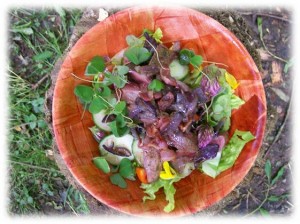 Jack Raven Bushcraft Ltd