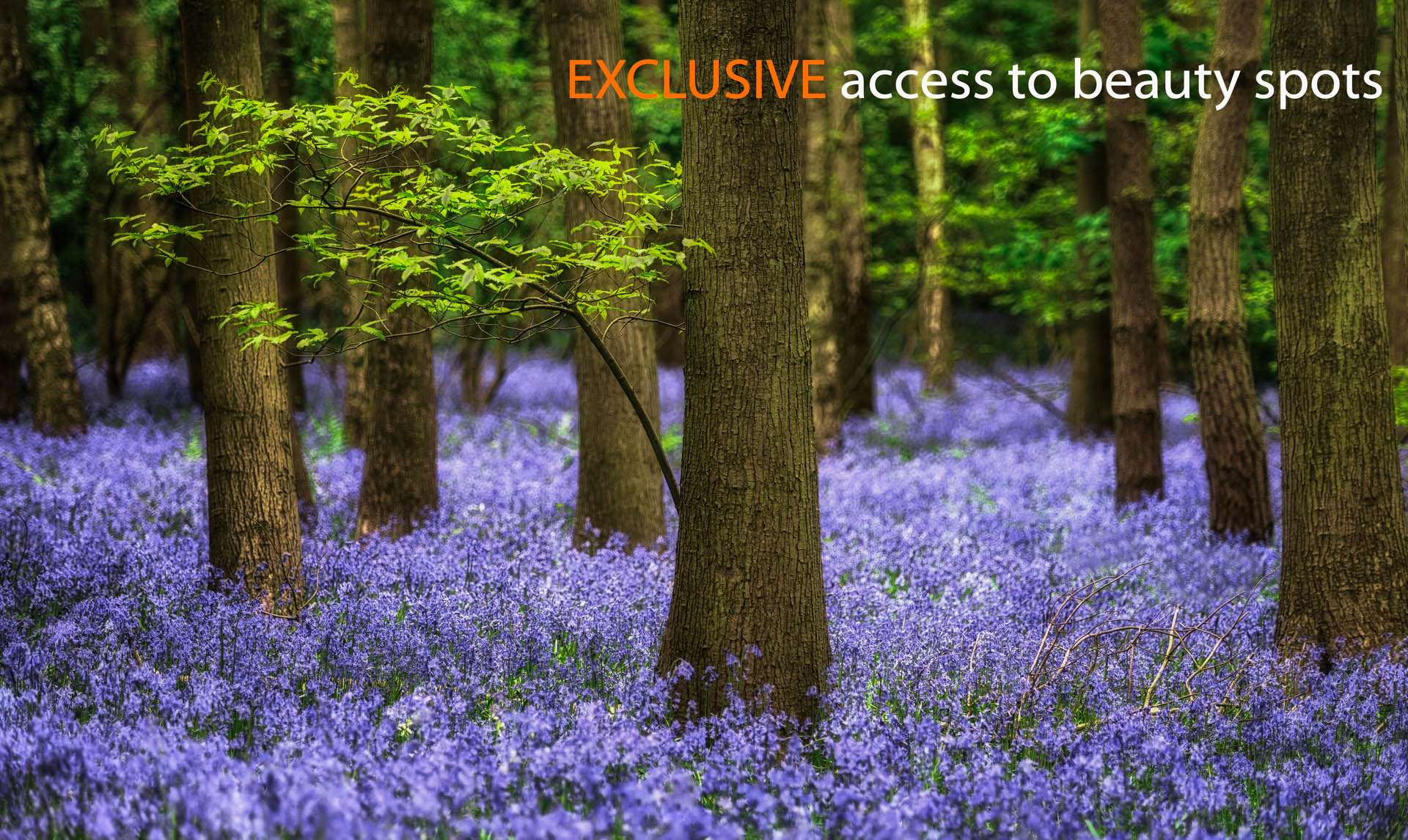 Alan Ranger Photography