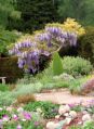 Inspired by Gardens, Devon