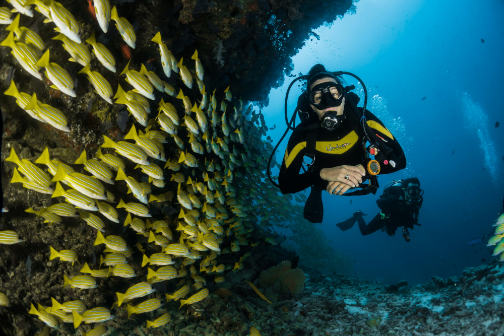 Diving in UK