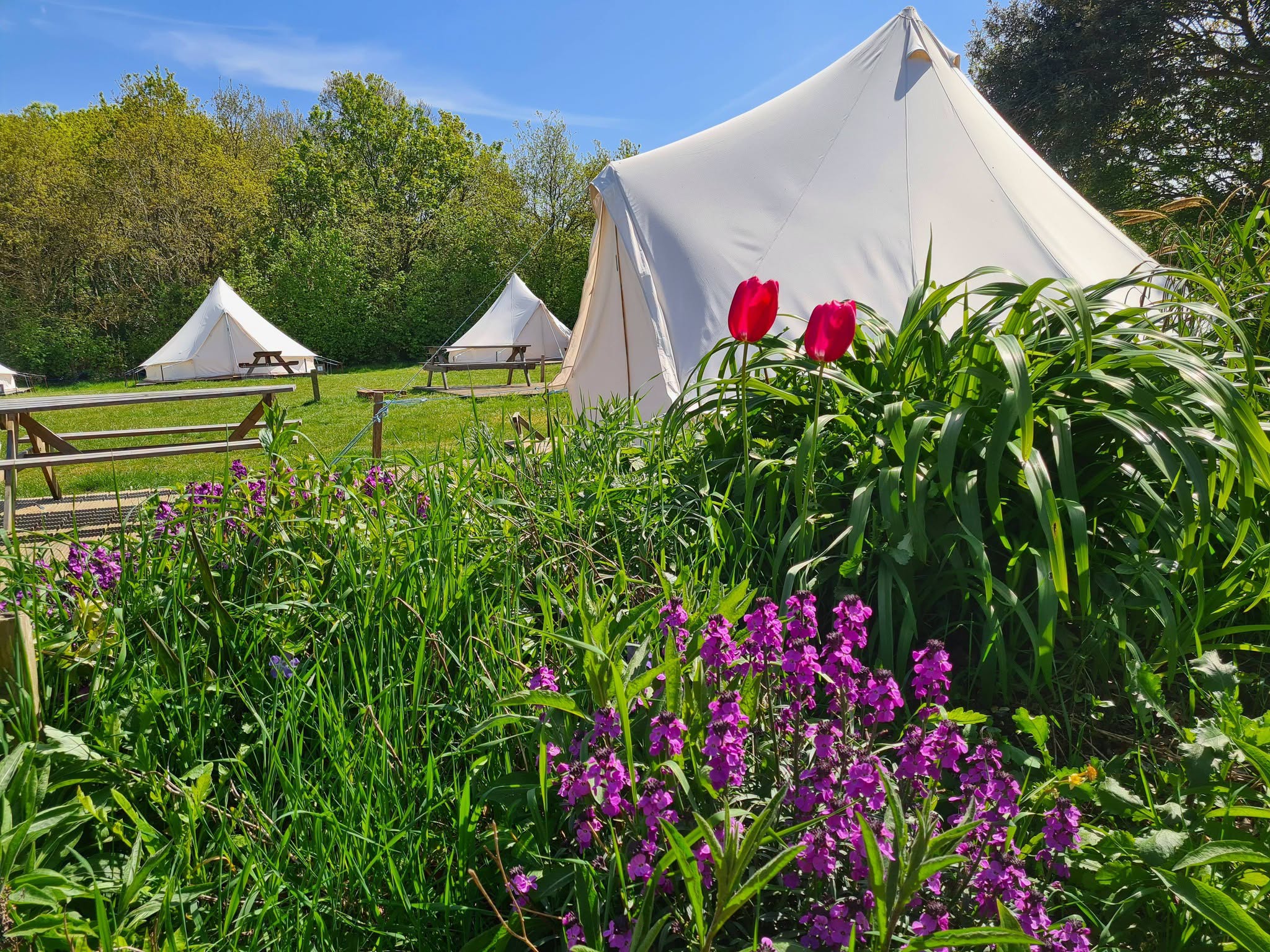 Bell Tent Glamping – Luxury Coastal Glamping & Nature Retreats in Hampshire