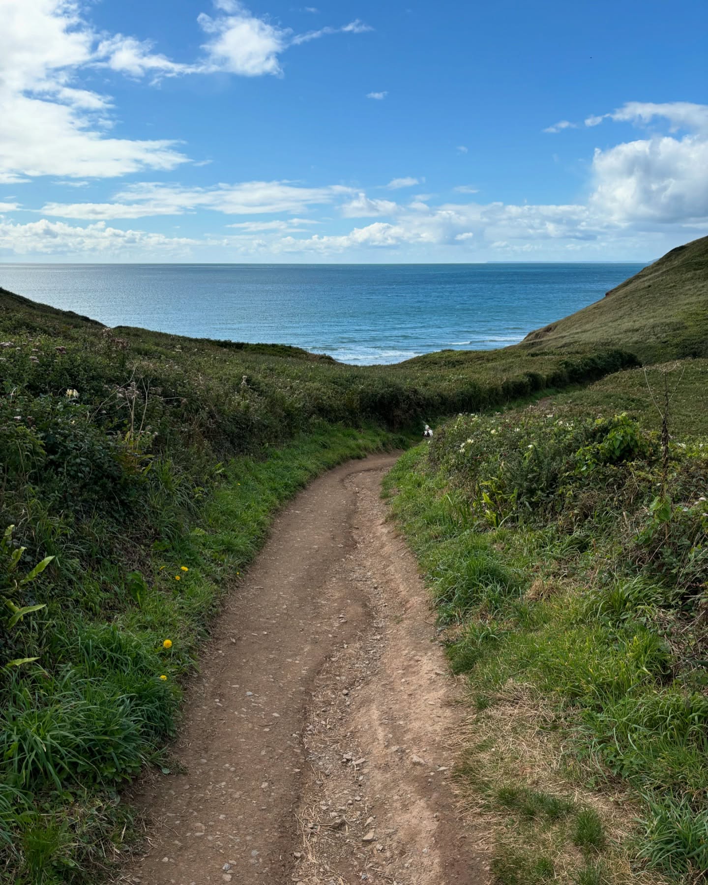 Coastal Glamping at Tregantle Farm – Eco Glamping in Cornwall