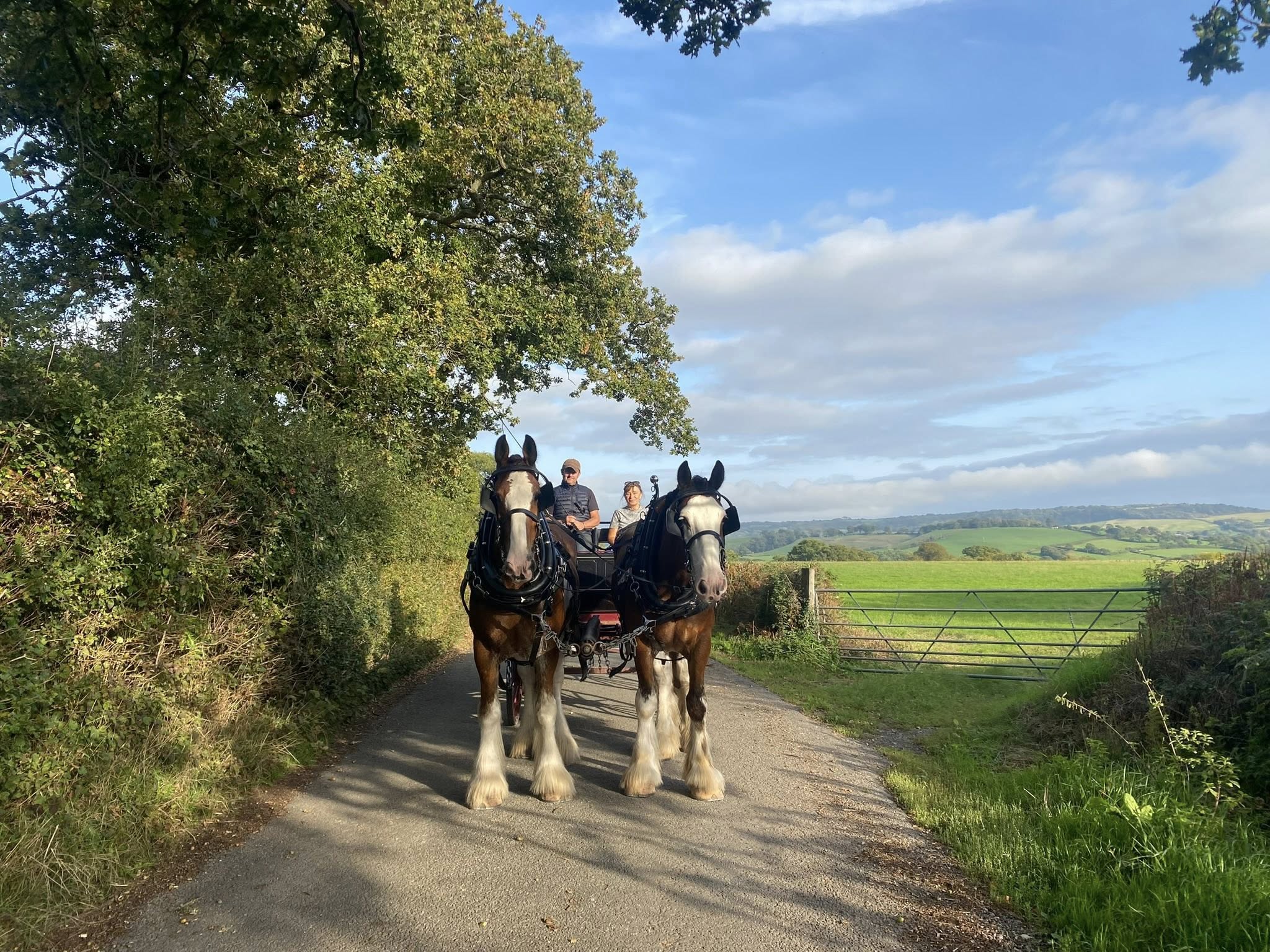 Countryside Carriages and Sandford Stables – Horse Riding and Carriage Rides in Dorset