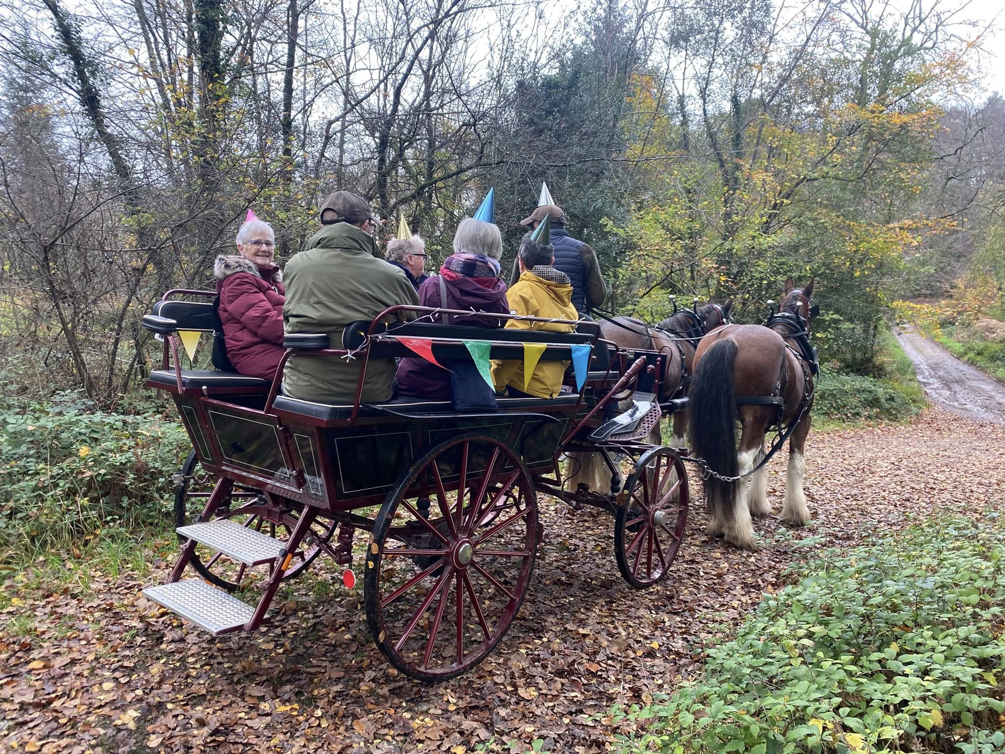 Countryside Carriages and Sandford Stables – Horse Riding and Carriage Rides in Dorset