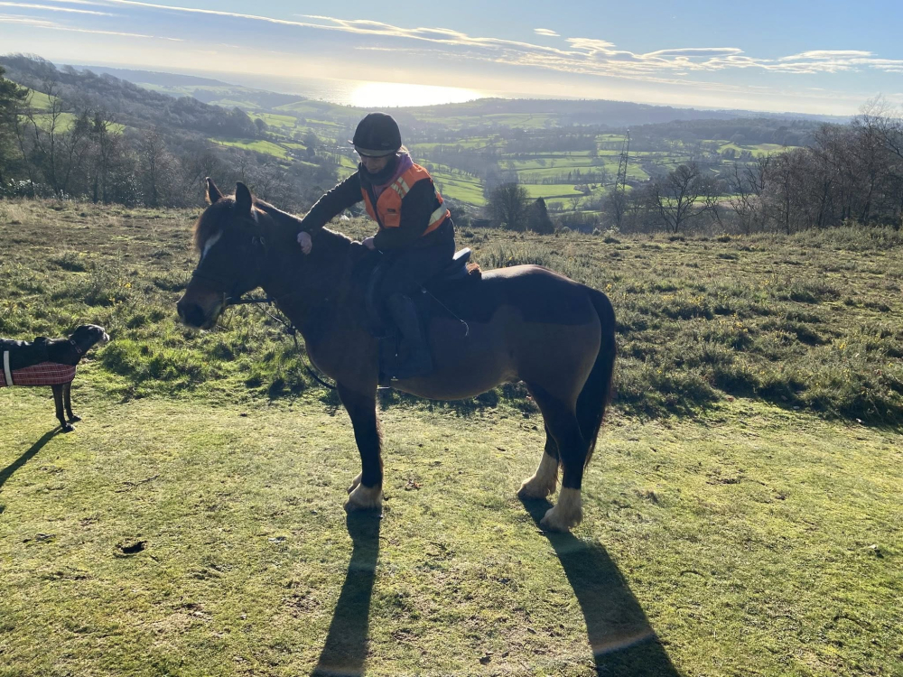 Countryside Carriages and Sandford Stables – Horse Riding and Carriage Rides in Dorset