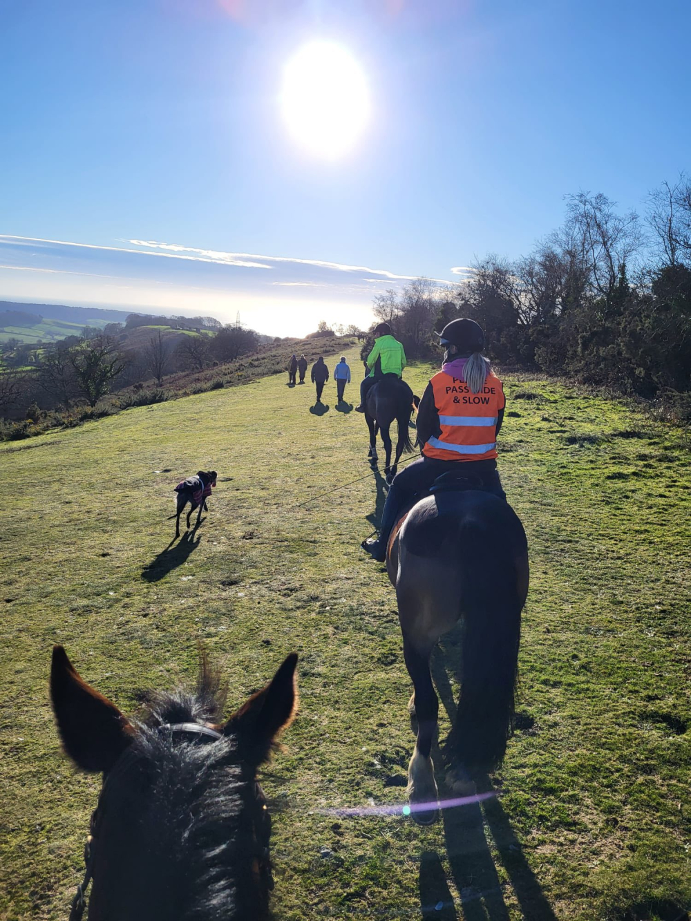 Countryside Carriages and Sandford Stables – Horse Riding and Carriage Rides in Dorset