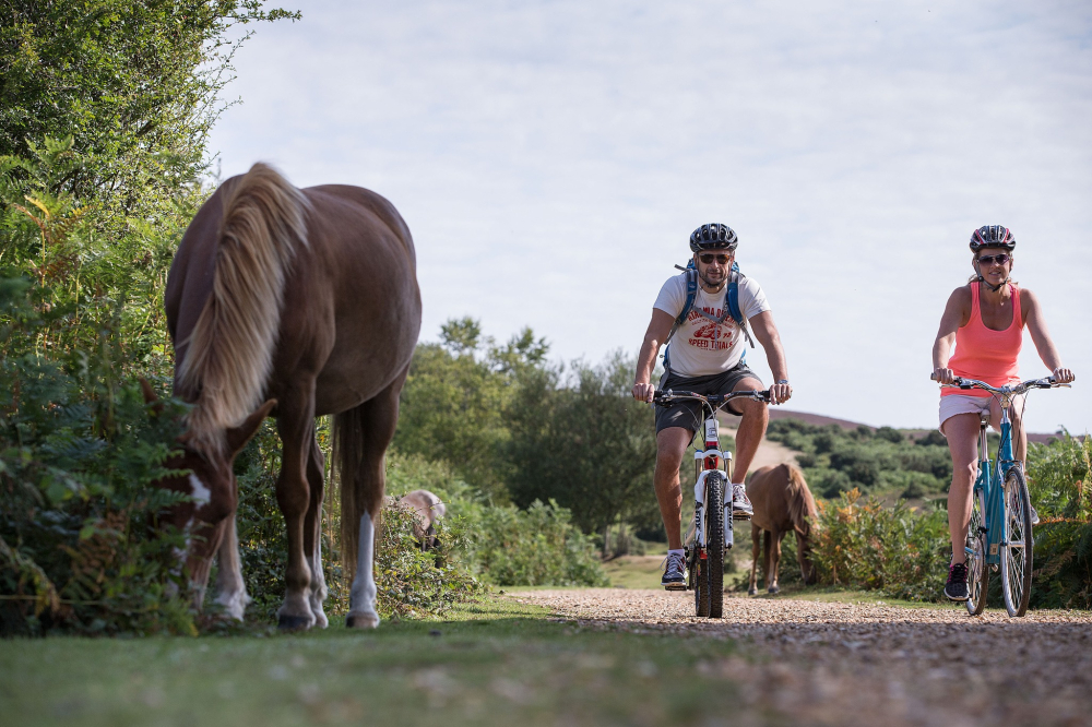 Cyclexperience: Bike Hire & Cycle Tours in the New Forest & Corfe Castle