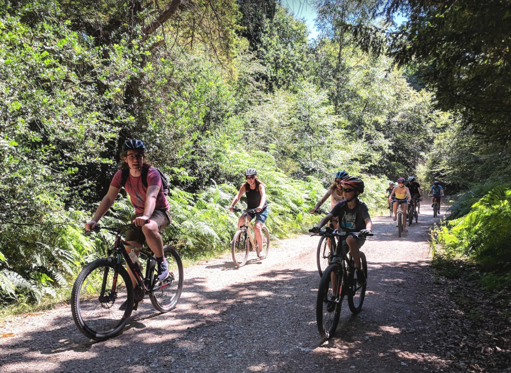 Cyclexperience: Bike Hire & Cycle Tours in the New Forest & Corfe Castle