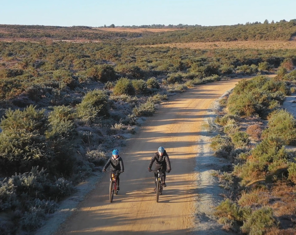 Cyclexperience: Bike Hire & Cycle Tours in the New Forest & Corfe Castle