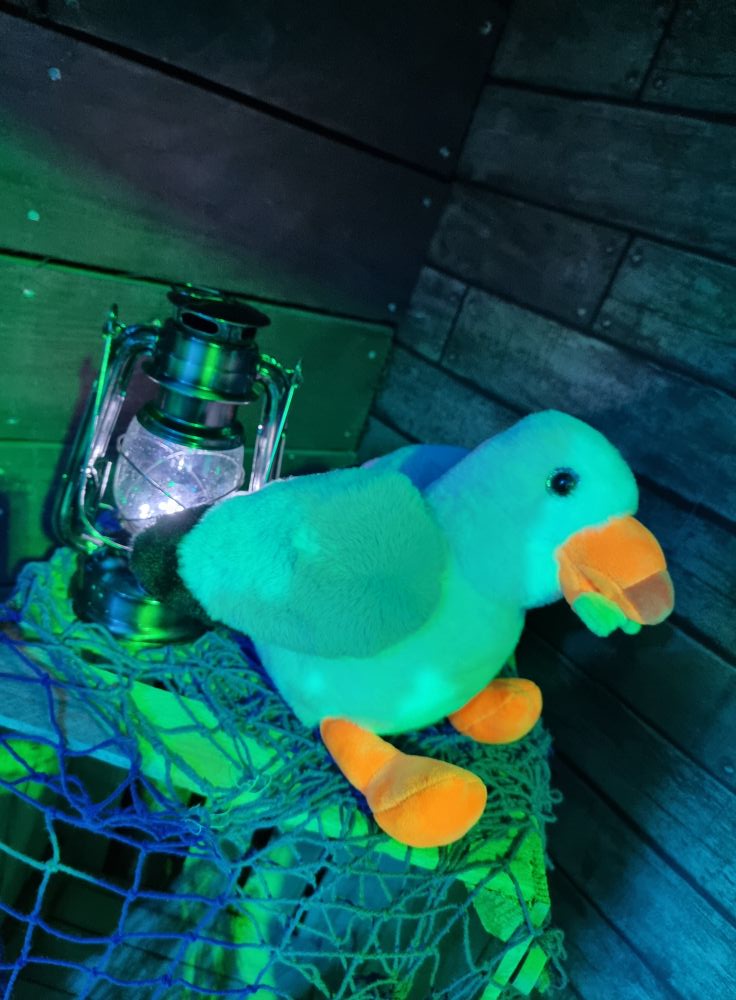 Escape Time – Escape Room Experiences in St Ives, Cornwall