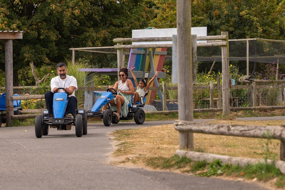 Farmer Palmer’s Farm Park – Family Farm Park in Dorset