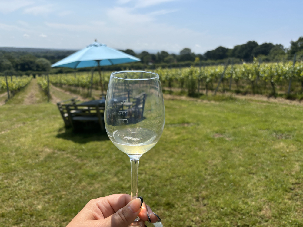 Fizz on Foot, Walking & Wine Tasting Tours in East Sussex & the South Downs
