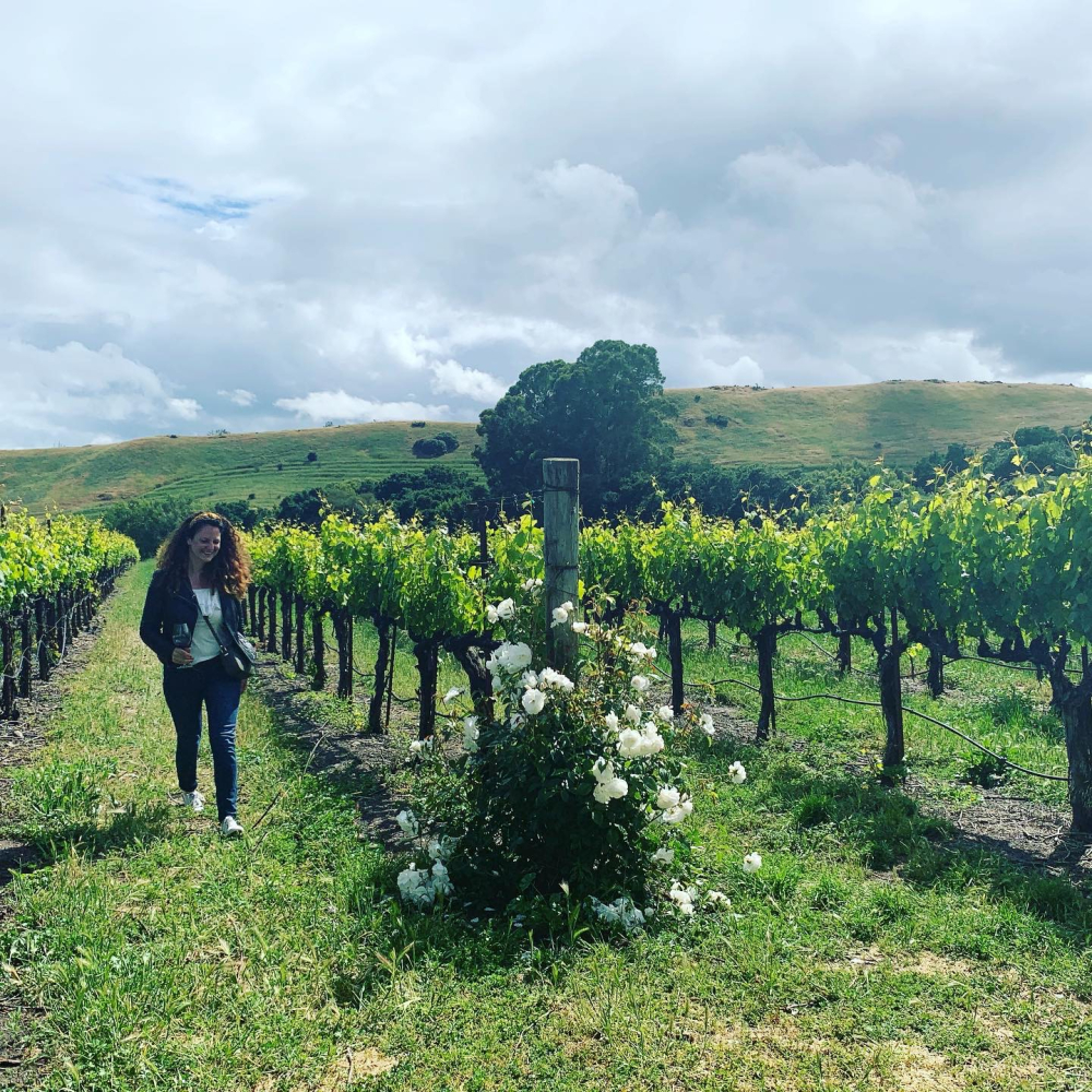 Fizz on Foot, Walking & Wine Tasting Tours in East Sussex & the South Downs