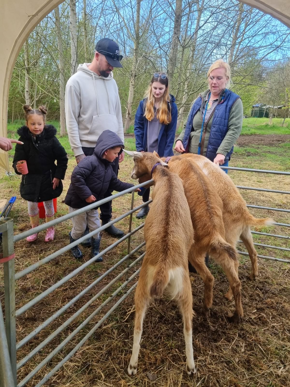 Fluxmere Glamping Retreat - Off-Grid Glamping in North Dorset
