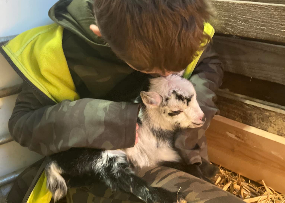Foxdown Children’s Farm – Family-friendly Farm Days Out in Dorset
