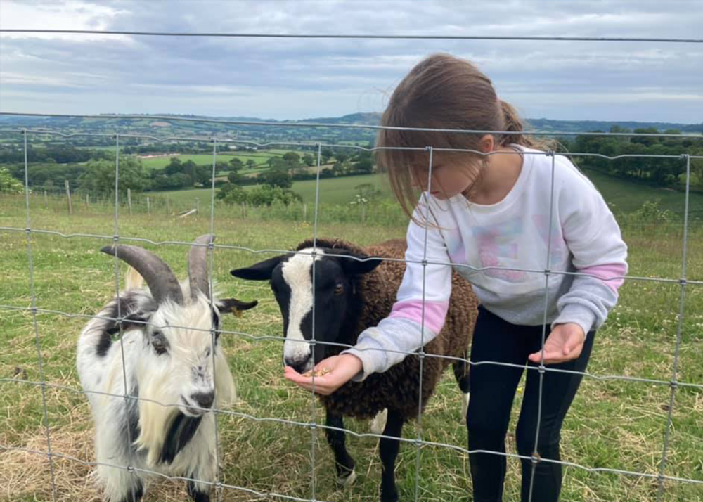 Foxdown Children’s Farm – Family-friendly Farm Days Out in Dorset