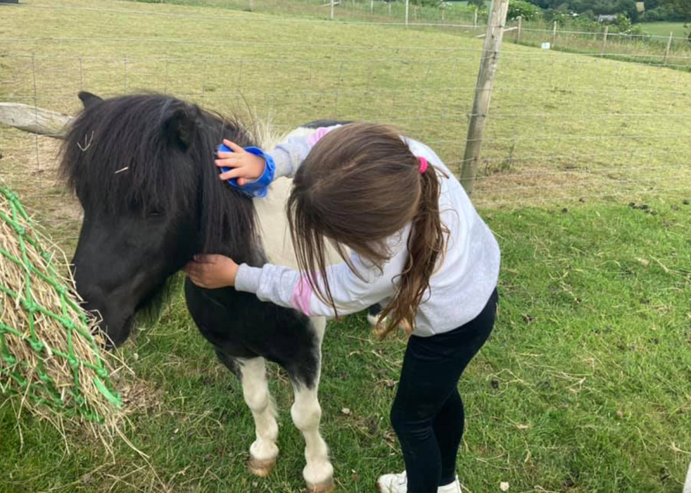 Foxdown Children’s Farm – Family-friendly Farm Days Out in Dorset