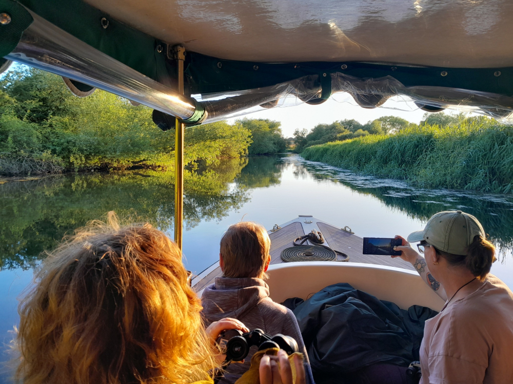 Grove Ferry River Trips – Scenic River Stour Boat Trips in Kent