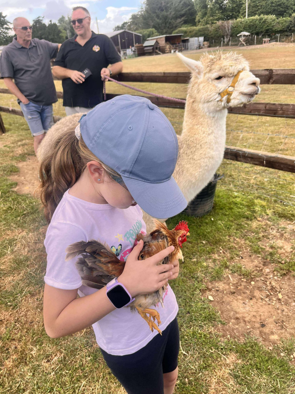 Hope Farm Alpaca Rescue – Family Alpaca Walks & Farm Animal Experiences in Dorset