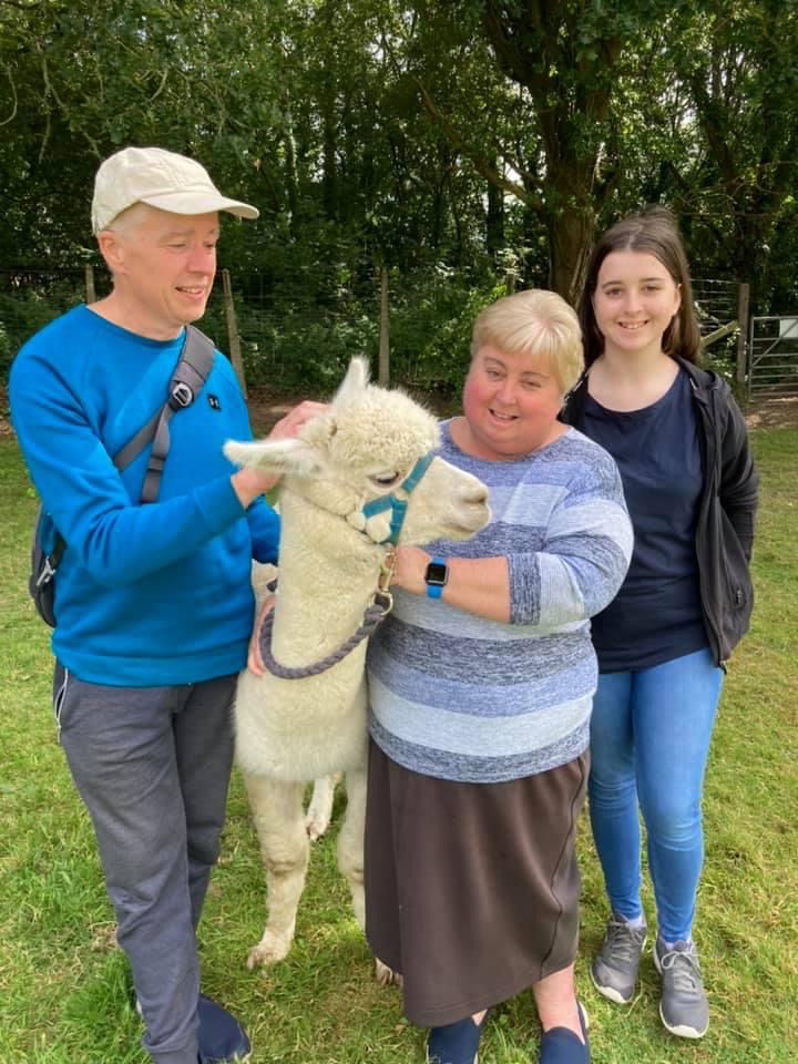 Hope Farm Alpaca Rescue – Family Alpaca Walks & Farm Animal Experiences in Dorset