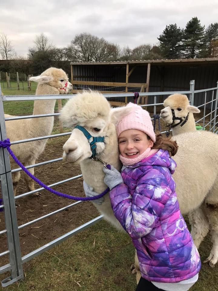 Hope Farm Alpaca Rescue – Family Alpaca Walks & Farm Animal Experiences in Dorset