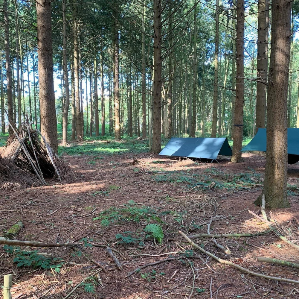 Natural Survivor – Survival Courses & Bushcraft Adventures in Suffolk