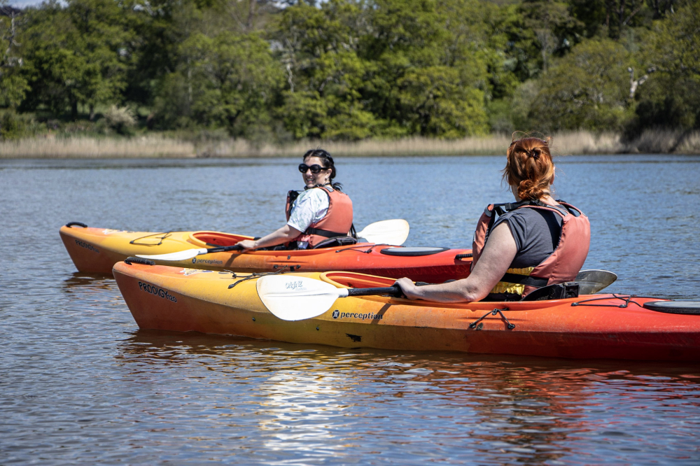 New Forest Activities – Outdoor Adventure Days in the New Forest, Hampshire