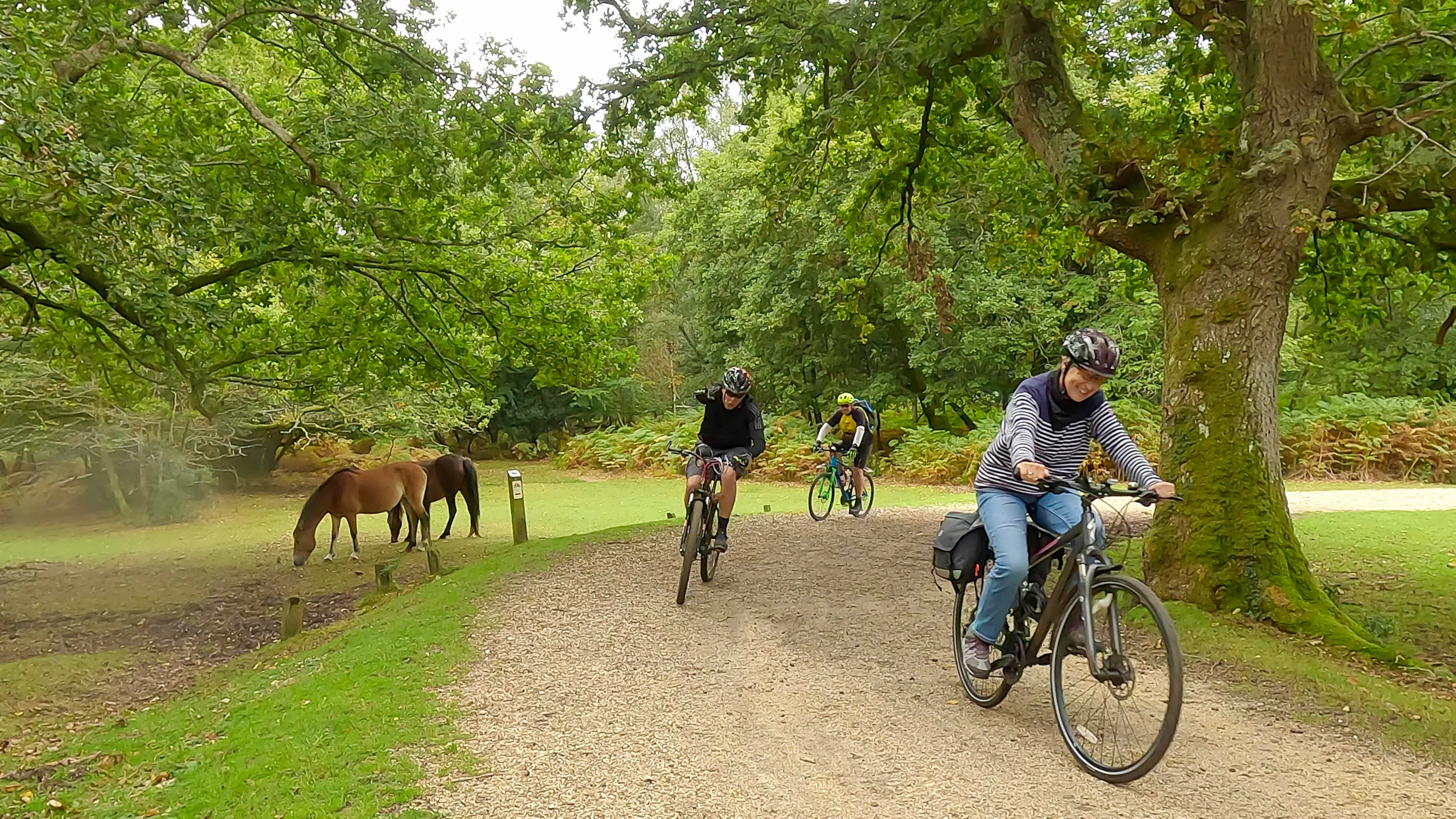 New Forest Cycling Tours - Guided Biking in the New Forest