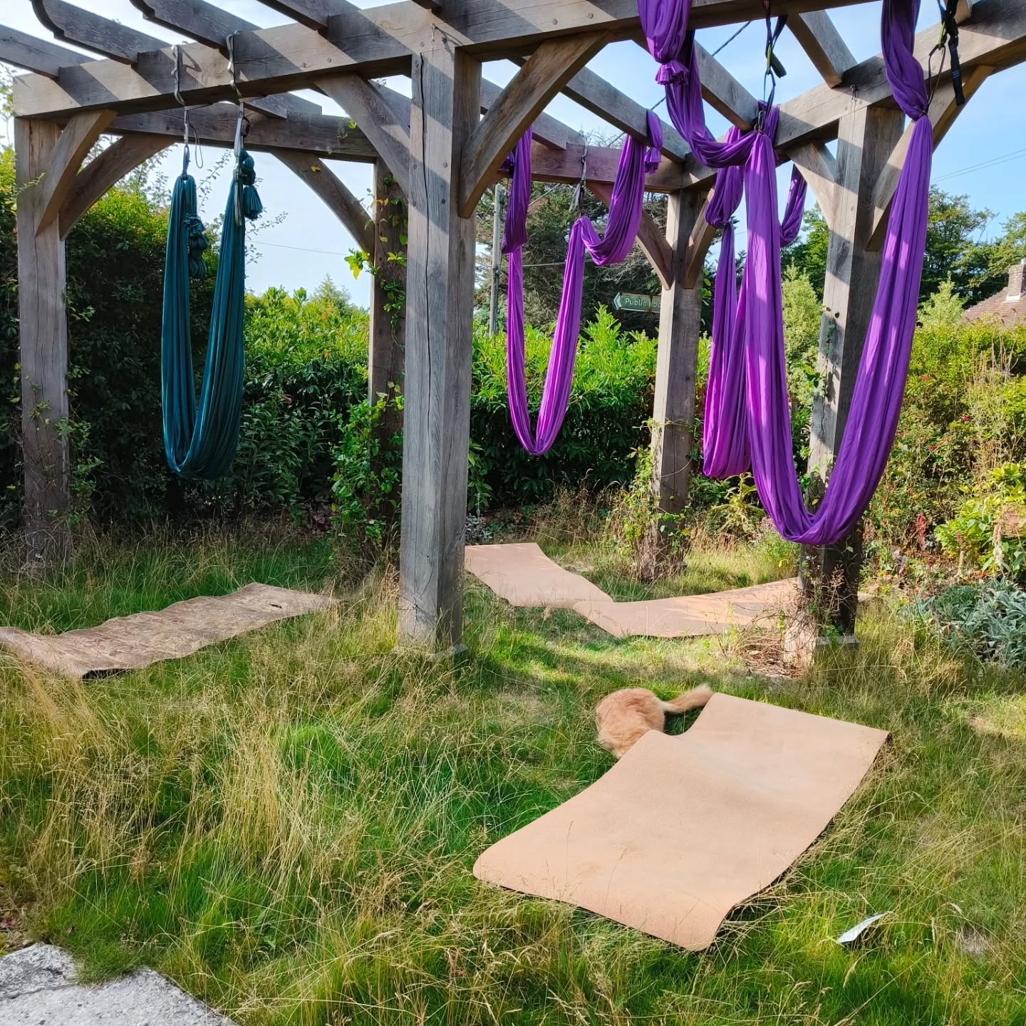 New Forest Retreats – Wellness & Activity Retreats in Hampshire