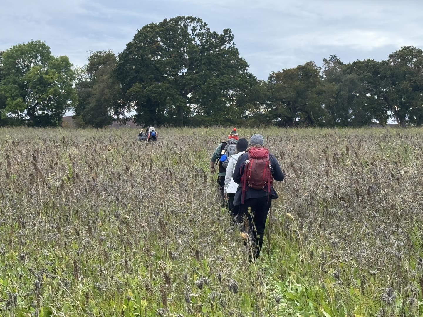 Northern Adventures – Guided & Self-Guided Walking Holidays in Northumberland & Northern England