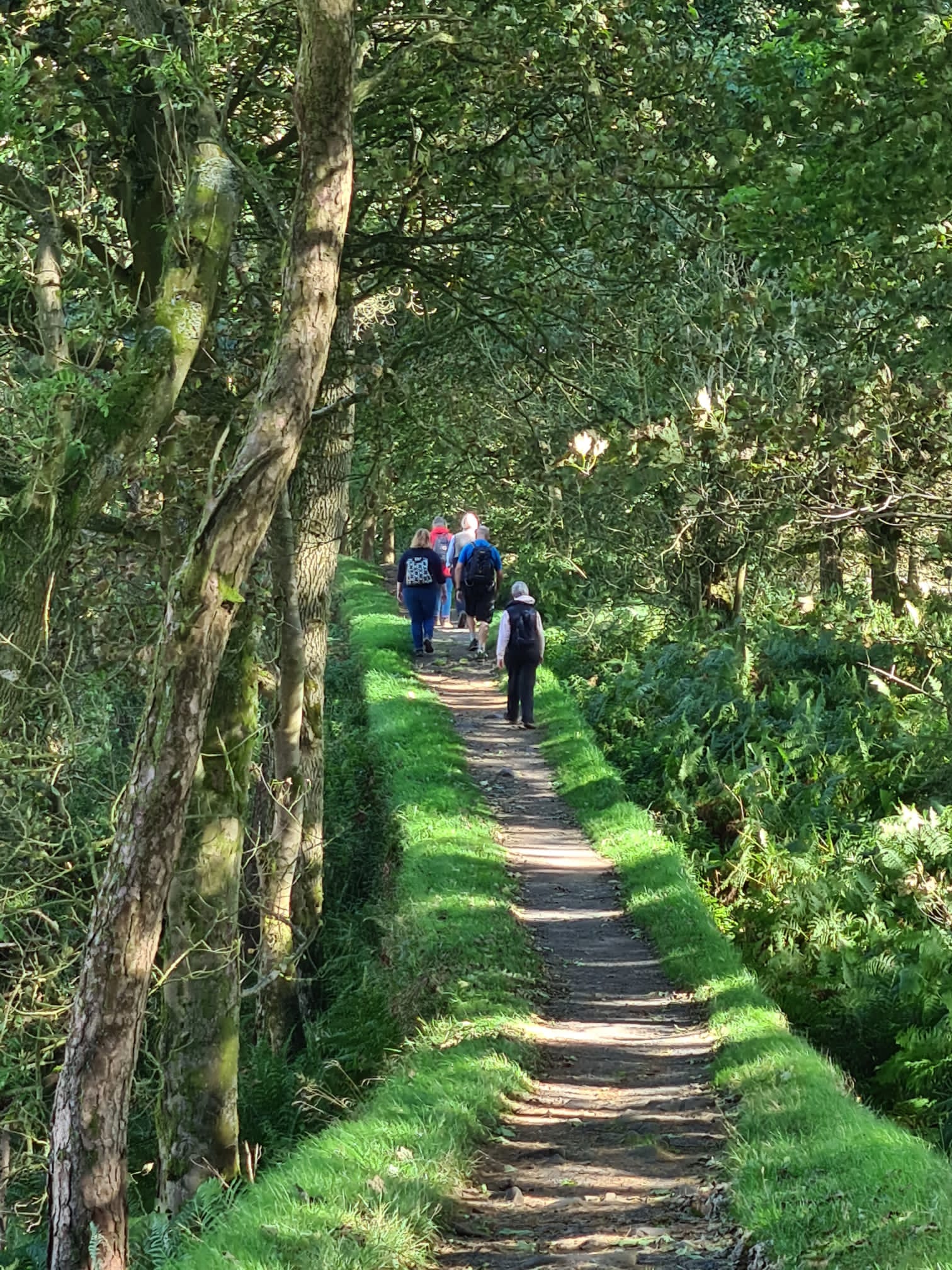 Northern Adventures – Guided & Self-Guided Walking Holidays in Northumberland & Northern England