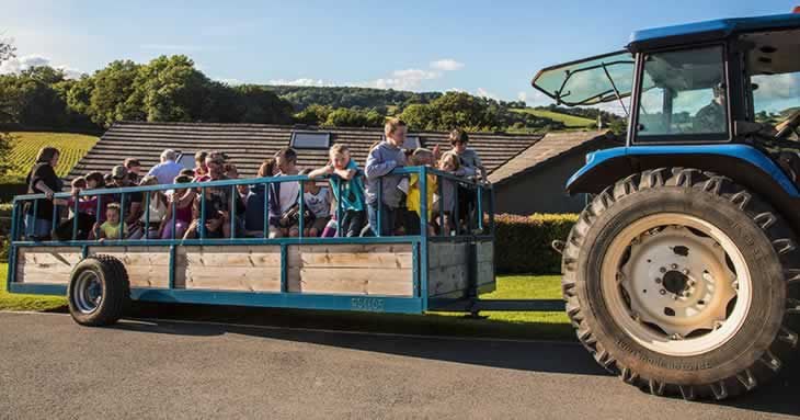 Parkers Farm Holiday Park – Family Activity Breaks in Devon