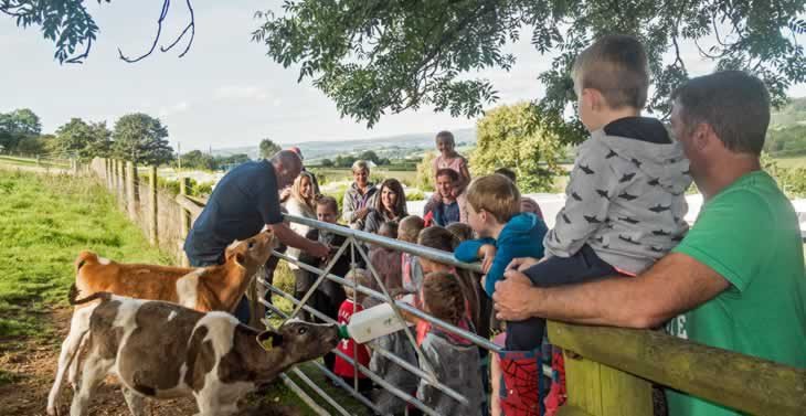 Parkers Farm Holiday Park – Family Activity Breaks in Devon