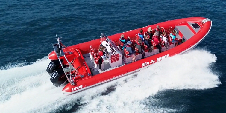 Sea-N-Shore — Salcombe Water Sports & Coastal Adventures, Devon