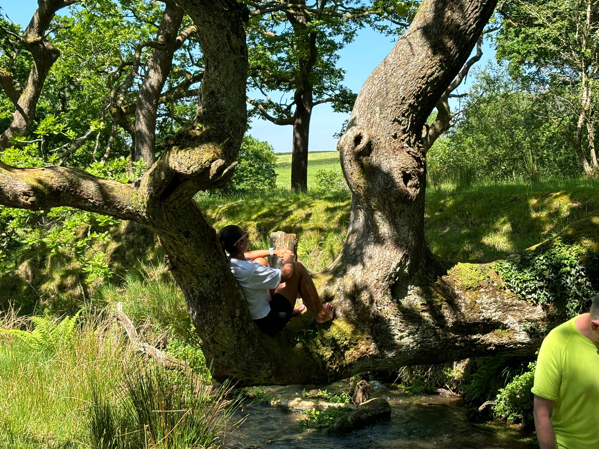 Stables Wellbeing – Bespoke Wellness Retreats in the Brecon Beacons, South Wales