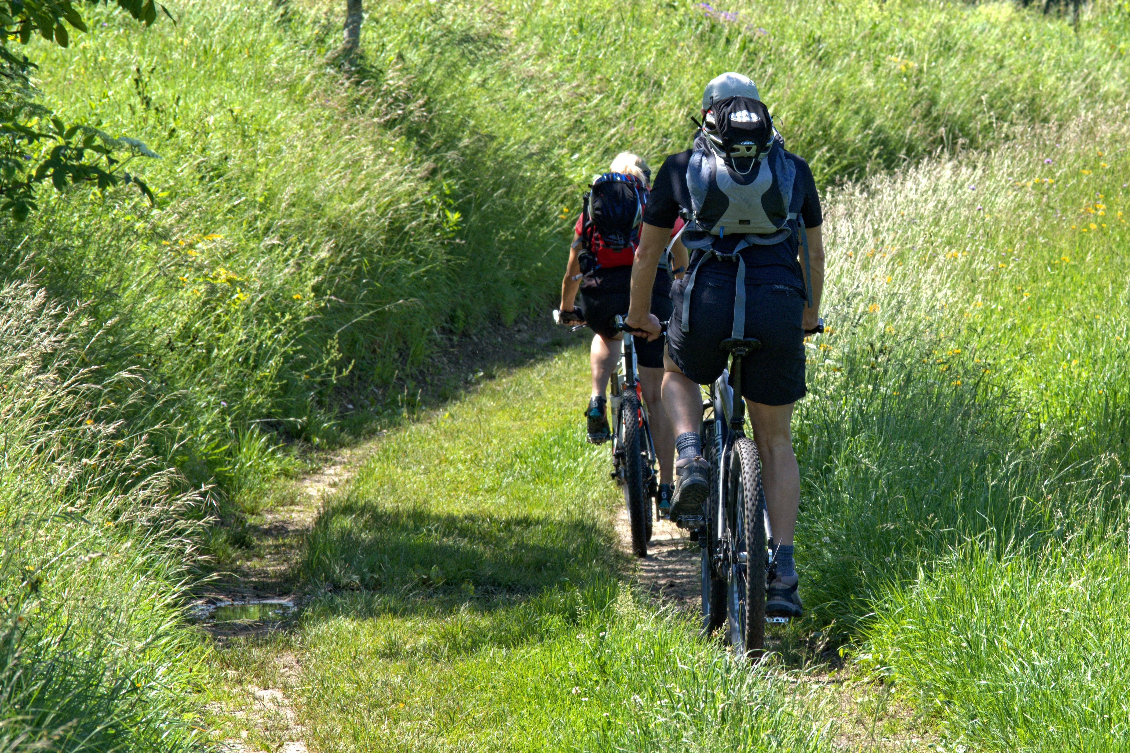 Sussex Bike Hire – E-Bike, MTB & Road Bike Hire in East Sussex