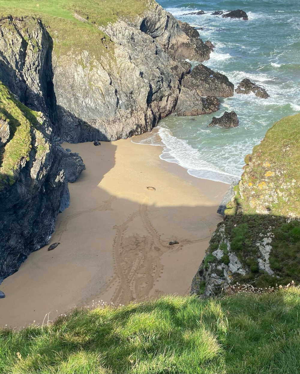 The Fir Hill – Real Glamping & Event Venue in Cornwall