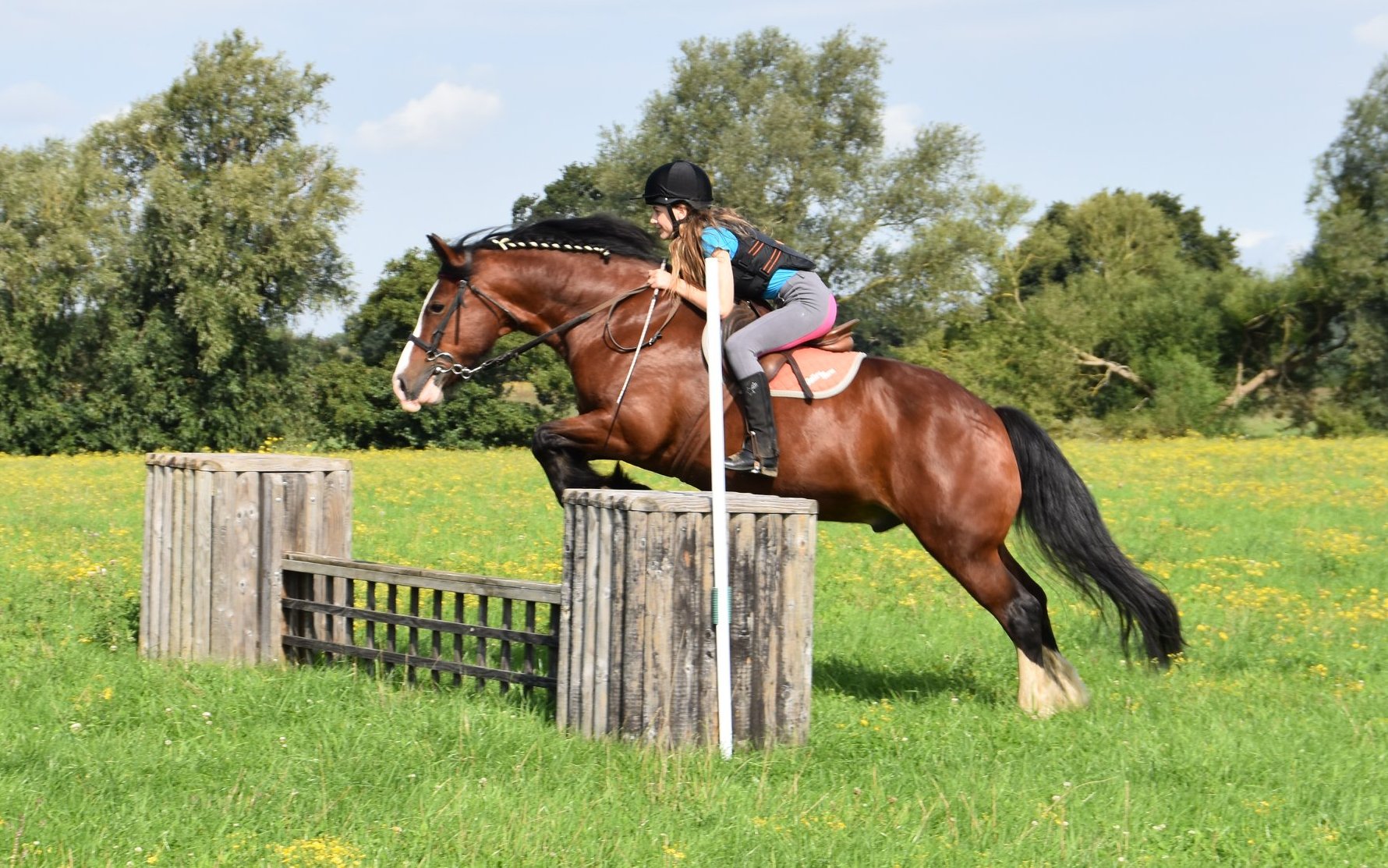 Valley Farm Equestrian Leisure – Horse Riding Holidays & Activities in Suffolk