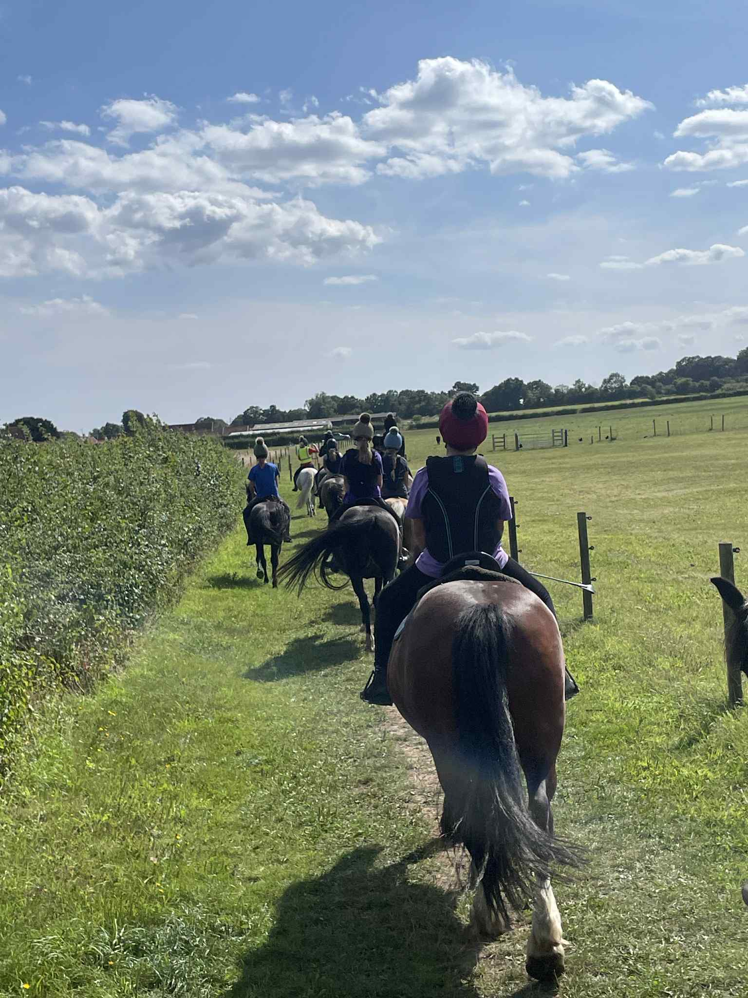 Valley Farm Equestrian Leisure – Horse Riding Holidays & Activities in Suffolk